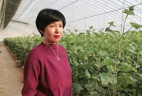 巾帼英雄朱兴芳：创新引领，巾帼风采照亮乡村振兴路